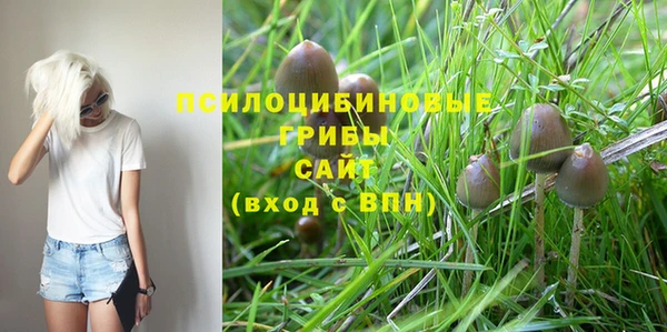 каннабис Вязники