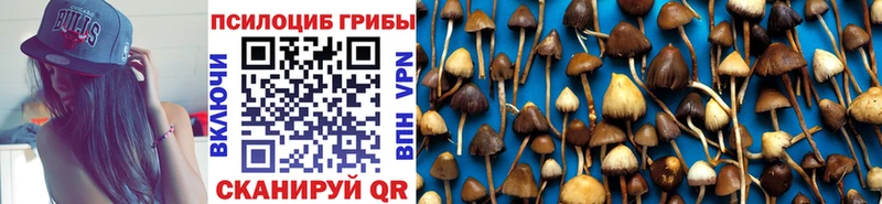 hydra ССЫЛКА  Островной  Псилоцибиновые грибы ЛСД 
